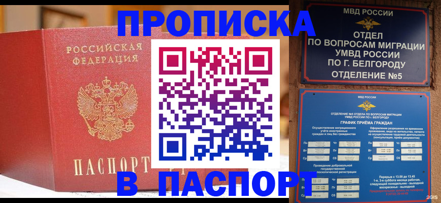 временная регистрация в квартире в Биробиджане